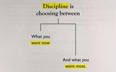 Discipline